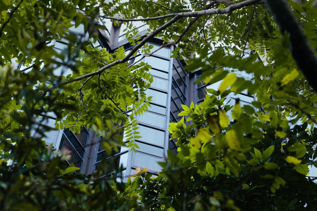 Primacy Apart Hotel Мар-дель-Плата Экстерьер фото